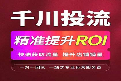 SEM广告投放的精准定位与优化案例